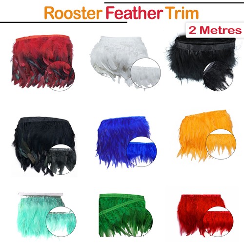 Long rooster tail feathers - rooster,