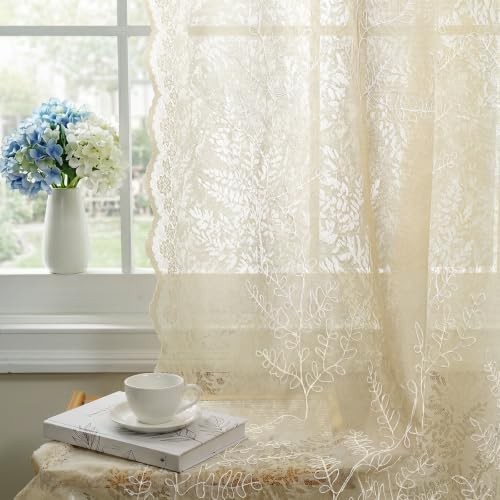 Embroidered lace semi sheer - embroidered,