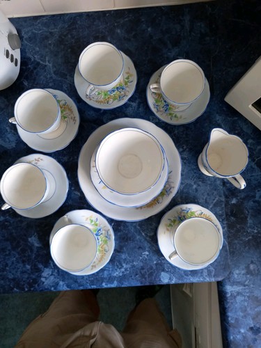 Phoenix bone china - bone,