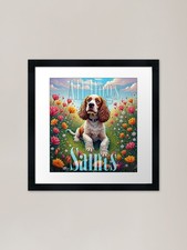 Cocker Spaniel - All Dogs