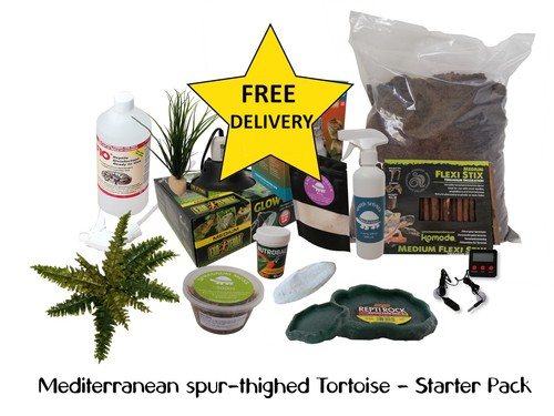 Greek tortoise starter kit - tortoise, –