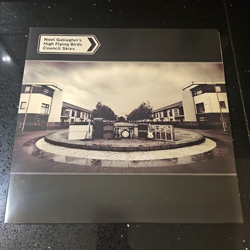Noel gallagher council skies - council,