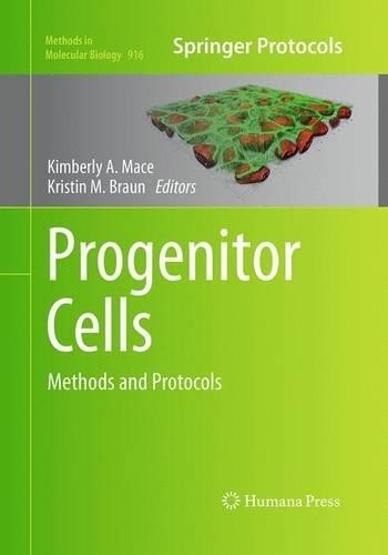 Progenitor cells - cells,