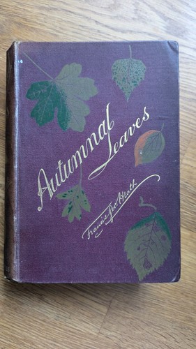 Reduced rare book autumnal - *reduced*rare, book-