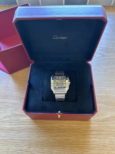Cartier santos 2021 - cartier,