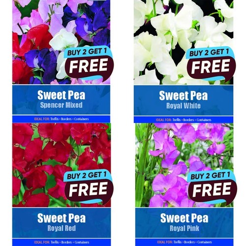 Flower seeds grow - seeds,