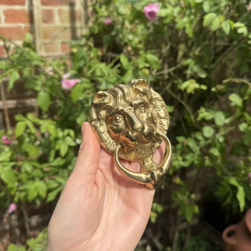 Vintage brass lion head door - lion,