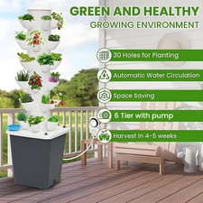 Hydroponic Growing System 30