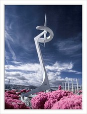 IR Conversion Service