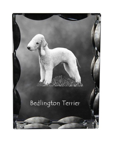 Bedlington terrier rothbury - bedlington, terrier,