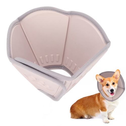 Pet recovery cone - recovery,