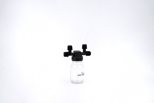 Büchi woulff bottle woulfsche - büchi,