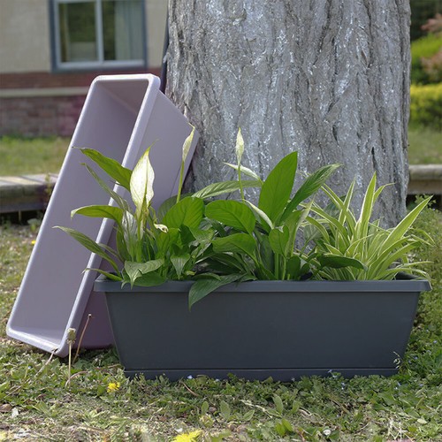 Trough plant pot long - plant,