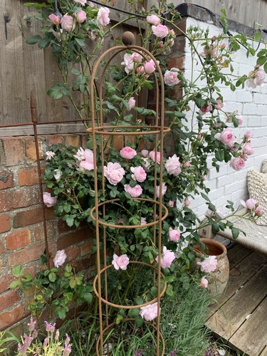 Rusty metal garden obelisk - rusty,