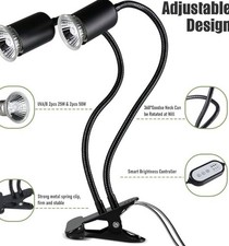 Reptile Heat Lamp Rotating