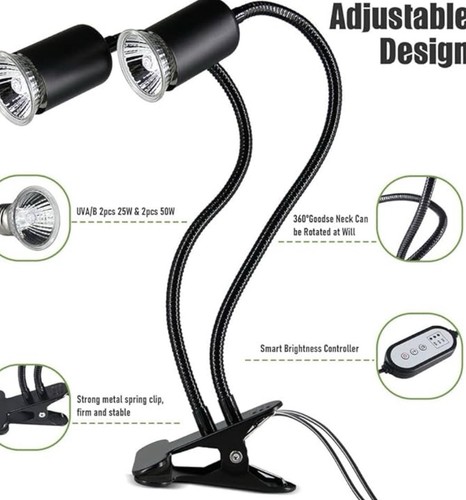 Reptile heat lamp rotating - reptile,