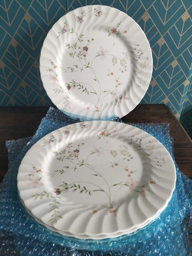 Wedgwood campion bone - wedgwood, china
