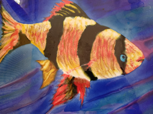 Great fun clown fish - fun,
