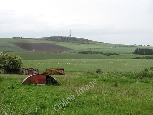 Photo 6x4 pig - photo,