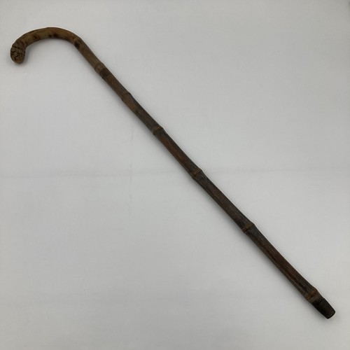 Walking stick wooden - walking,