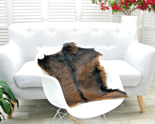 Genuine greek goat - goat, rug