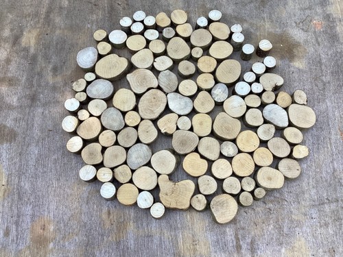100 small hazel - , log/stick