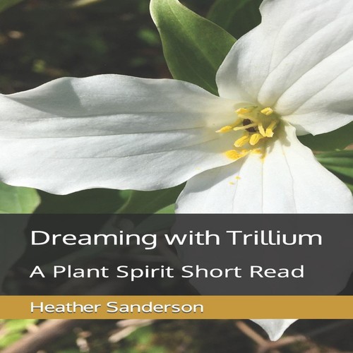 Dreaming with trillium plant - dreaming, a