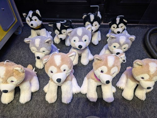 Job lot 11x - husky, plush