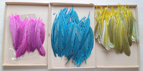 Guinea fowl feathers - 75,