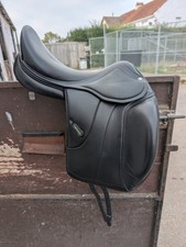 Amerigo Vega 18" Dressage