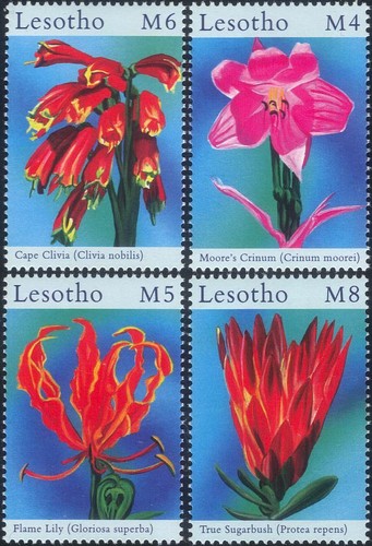Lesotho 2000 flowers - flowers, of