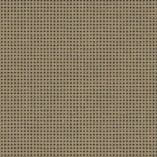 Penelope 10 Count Zweigart Duo