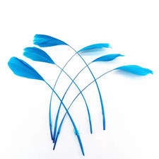 20PCS Goose Feathers for