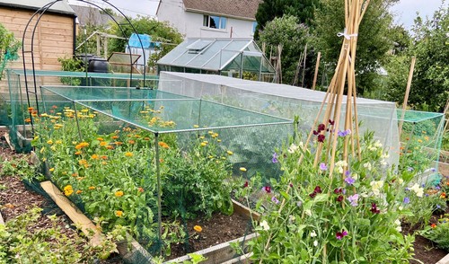 Vegetable fruit cages with - fruit,