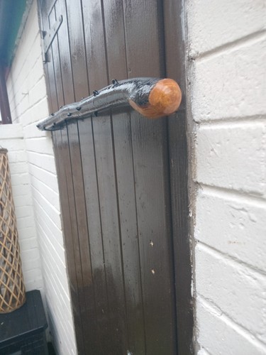 Irish blackthorn stick - blackthorn, 37