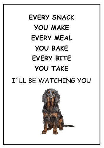 Gordon setter be - gordon,