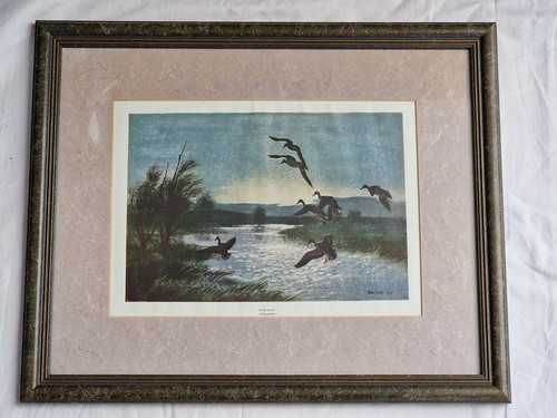 Vintage peter scott - vintage,