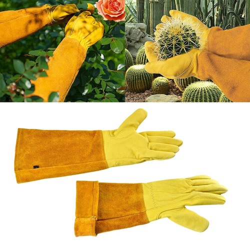 Heavy duty thorn - duty, proof