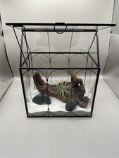 Plant Terrarium Succulent House Mini Greenhouse Glass Air Plant inc extras (D)