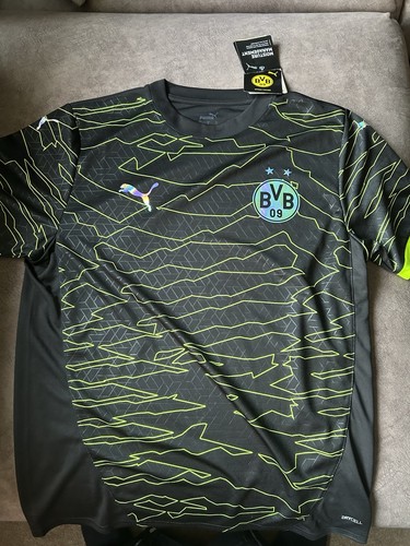 Borussia dortmund esports - borussia,
