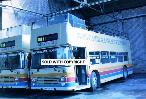 Bus negative 35mm stagecoach - bus,