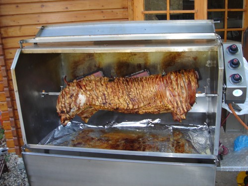 Pig hog lamb spit - pig,