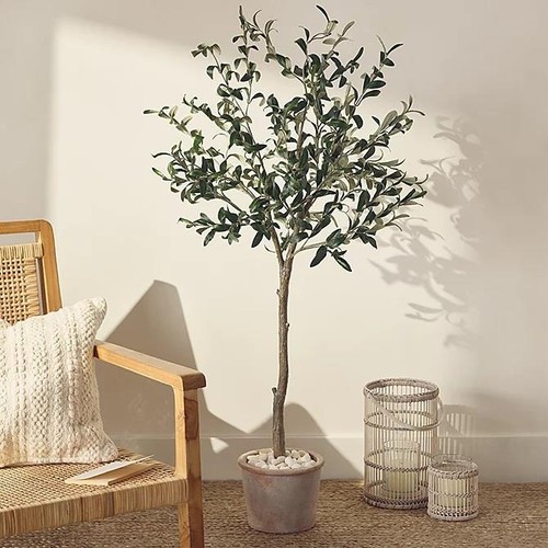 The white company - the, potted