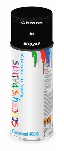 For citroen spray - for, paint