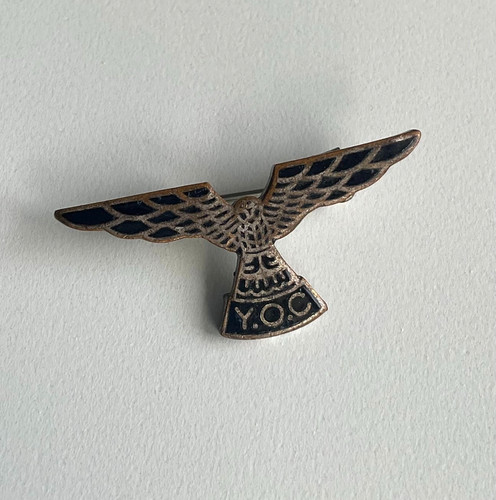 Young ornithologists club yoc - ornithologists,