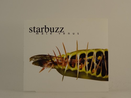 Starbuzz male venus - starbuzz,