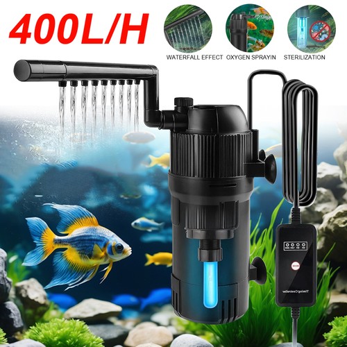 Aquarium fish tank - in,