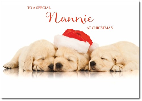 Doodlecards nannie christmas - doodlecards,