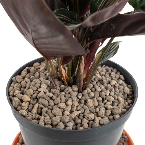 Clay pebble ball - clay,