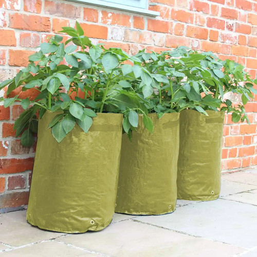 Haxnicks potato planter - haxnicks,